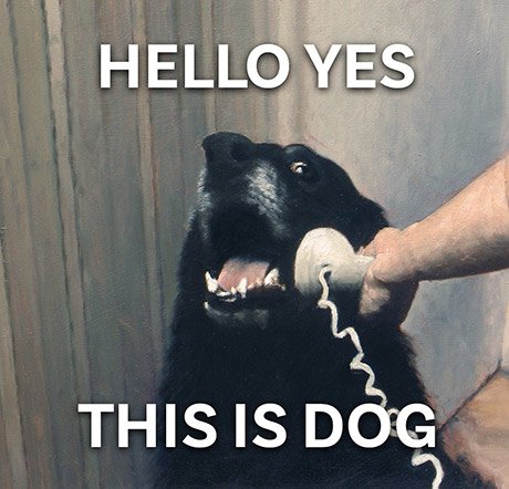 Hello yes this is dog